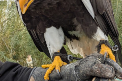 PXL_20251016_083800875