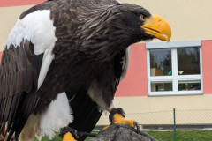 PXL_20251016_083802604