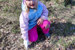 IMG_20260327_101036