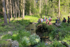 IMG-20260518-WA0002