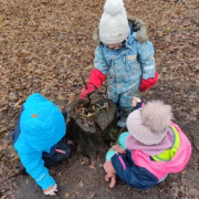 Druhá polovina ledna v LMŠ