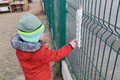 IMG_20260121_113039