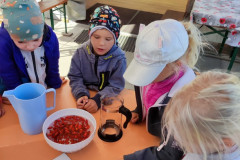 IMG_20260929_104059