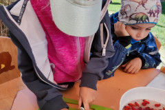 IMG_20260929_104921