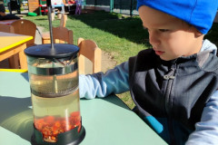IMG_20260929_110044