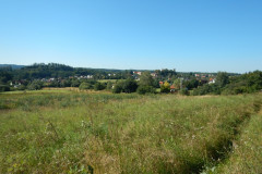 DSCN2474