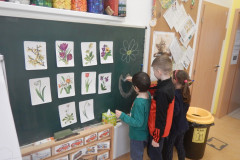 DSCN6778