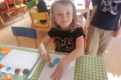 DSCN5201