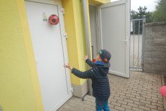 DSCN5291
