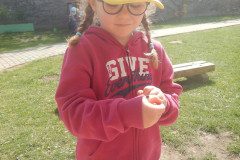 DSCN5349