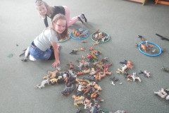 DSCN5379