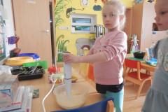DSCN4196