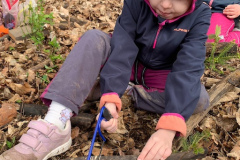 8c95b70f-a283-4b47-a43a-2c2252af936c