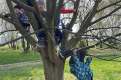 c83b1ac7-af58-4ab9-9f22-d88870bf856e