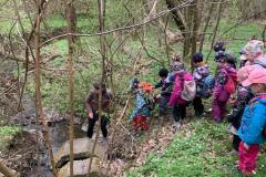 cad2fc91-8b86-43bd-a77e-e0d7f9a5d4fc