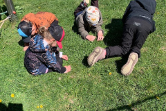 f8a4d27e-fb9a-457c-b63d-e86ac26ffbfc