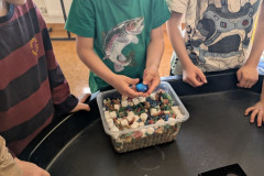 PXL_20260414_065805403