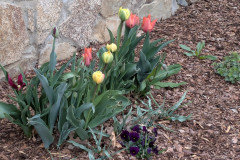PXL_20260415_090453931