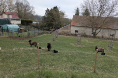 PXL_20260415_090900157