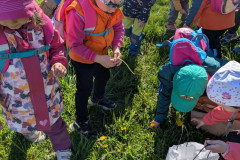 PXL_20260427_074824662
