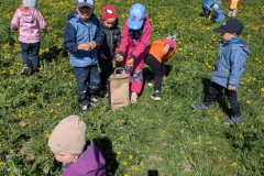 PXL_20260427_080743403
