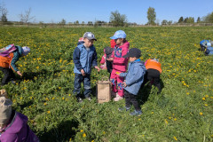 PXL_20260427_080744676