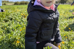 PXL_20260427_080818278