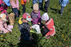 PXL_20260427_080823065