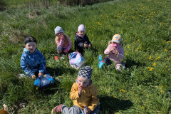 PXL_20260427_082331055