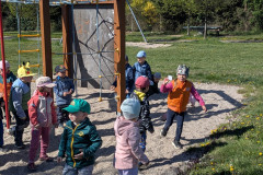 PXL_20260429_075833111