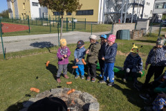 PXL_20260430_071358923