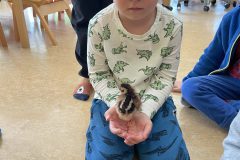 IMG_1797