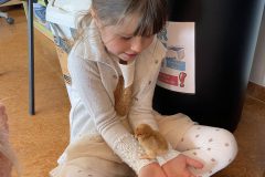 IMG_1845