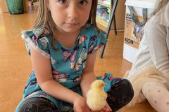 IMG_1858