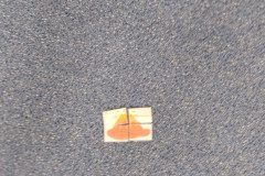 IMG_20230417_093636