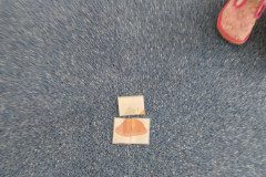IMG_20230417_093654