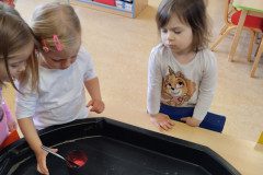 IMG_20230417_094556