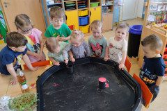 IMG_20230417_095100