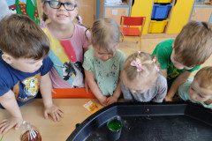 IMG_20230417_095222