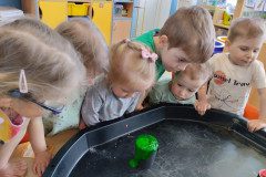 IMG_20230417_095257