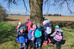 IMG_20230421_094931