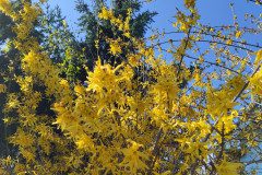 IMG_20230421_100522