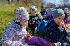 IMG_20230421_101341