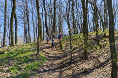 IMG_20230421_103409