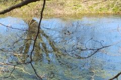 IMG_20230421_103542