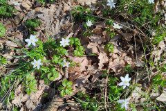 IMG_20230421_103750