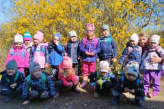 IMG_20230421_104129