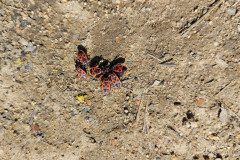 IMG_20230421_104532