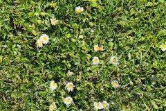 IMG_20230421_104708