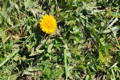 IMG_20230421_104723